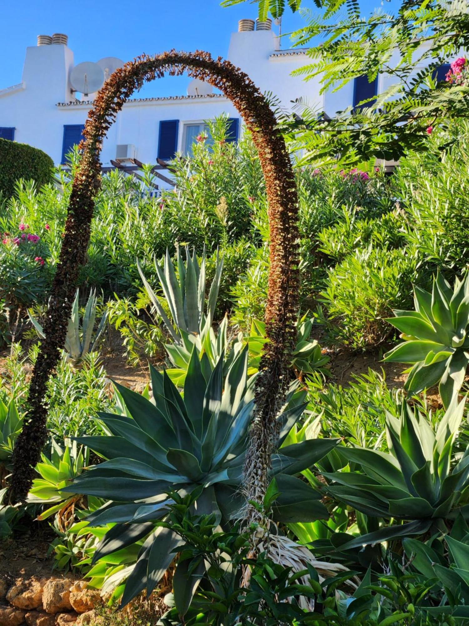 Elena Flat A Little Paradise Right On The Beach Sitio de Calahonda Exteriör bild