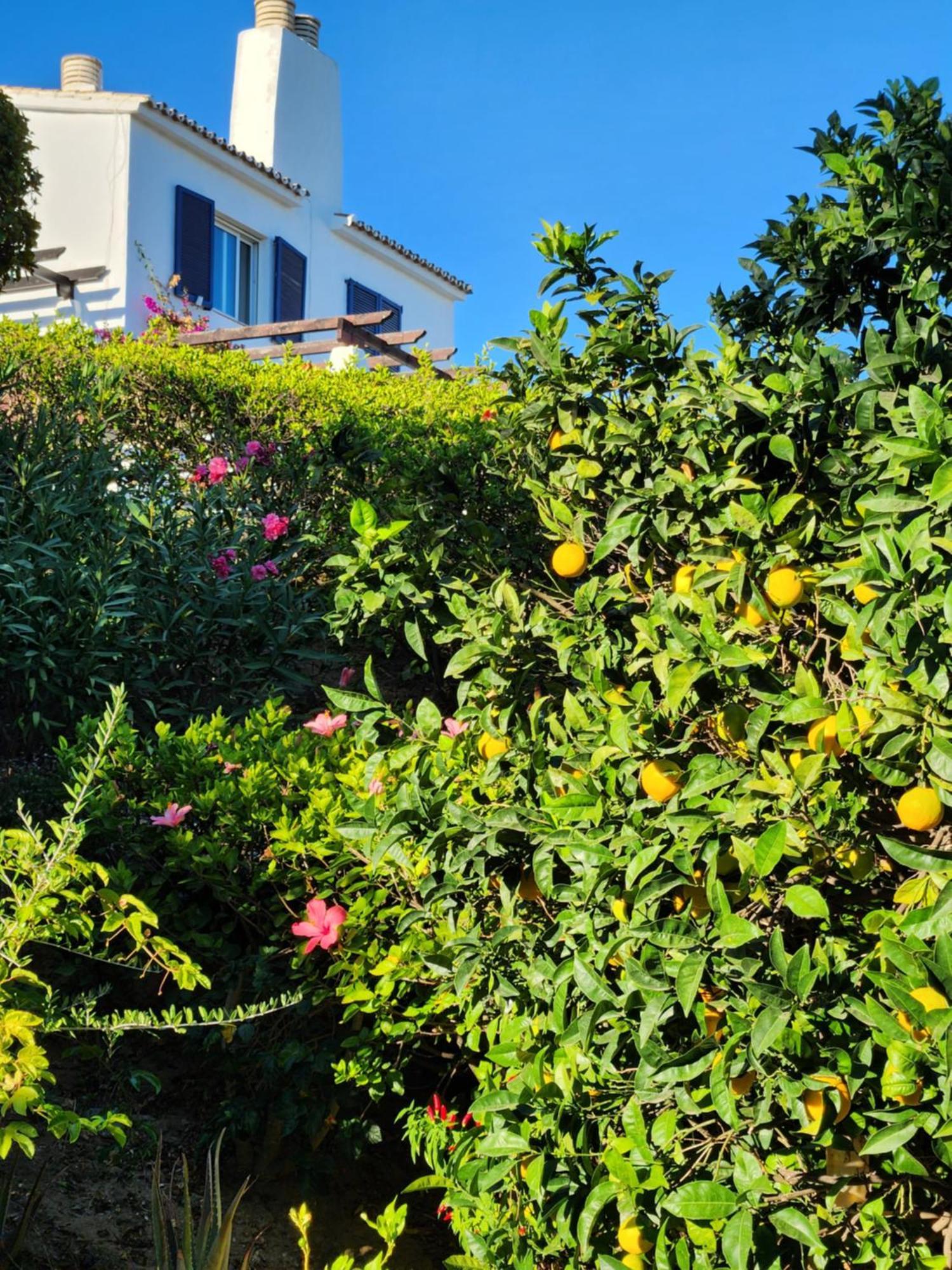Elena Flat A Little Paradise Right On The Beach Sitio de Calahonda Exteriör bild